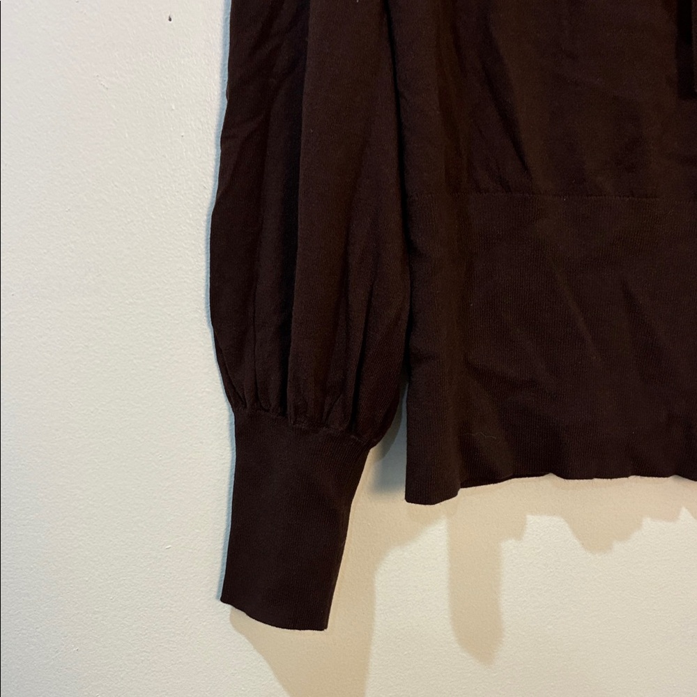 Banana Republic Dark Brown Blouse with Bow - Picture 3 of 4